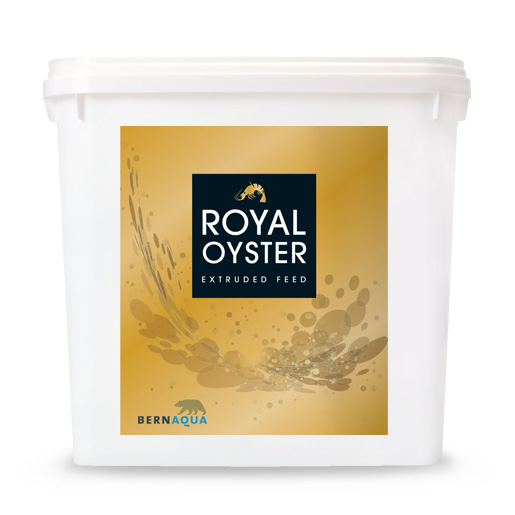 NEW ROYAL OYSTER 5 KG